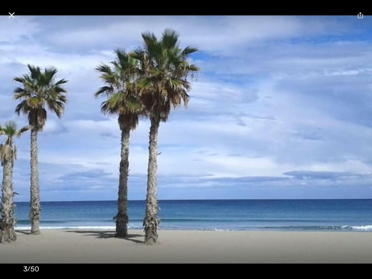 Sol Y Playa En San Juan Alicante Extérieur photo